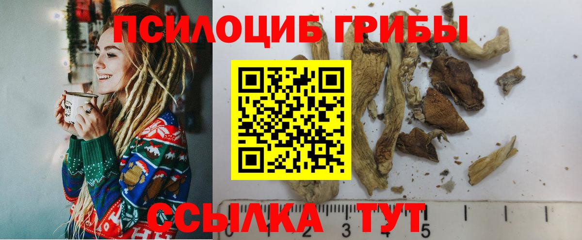 Галлюциногенные грибы Cubensis Красноуфимск